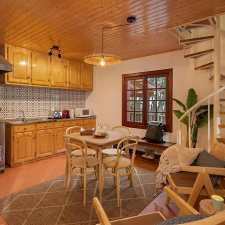 A Refuge In Nature - D'avo Teresa Domek alpejski São Vicente