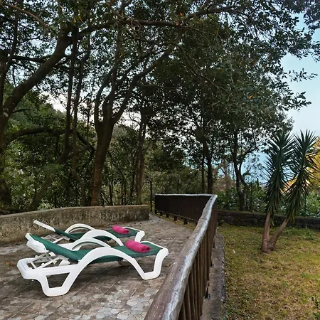A Refuge In Nature - D'avo Teresa בקתה São Vicente