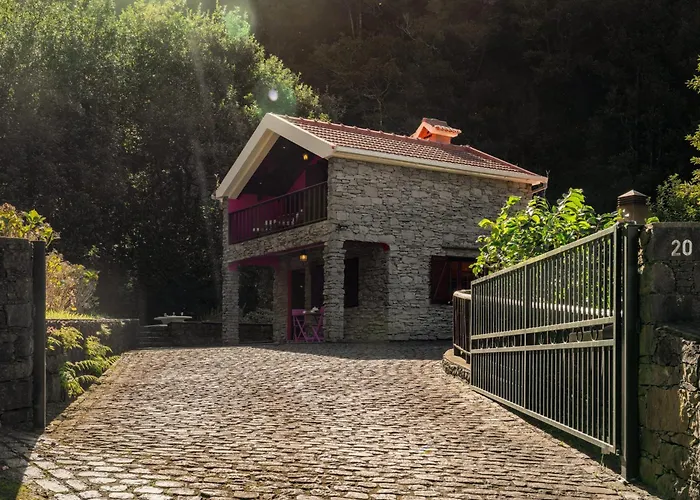A Refuge In Nature - D'avo Teresa * São Vicente