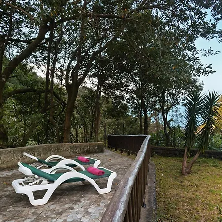 A Refuge In Nature - D'avo Teresa Chalet São Vicente