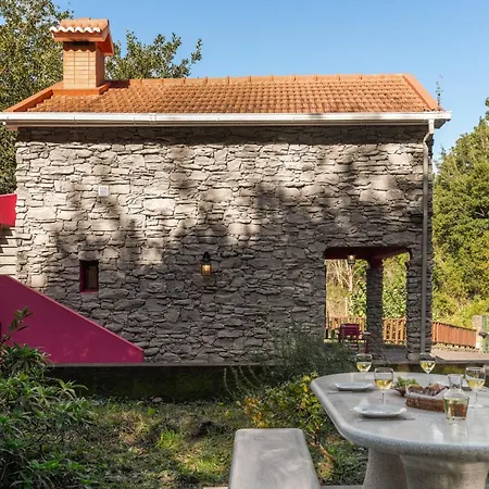 A Refuge In Nature - D'avo Teresa Chalet São Vicente