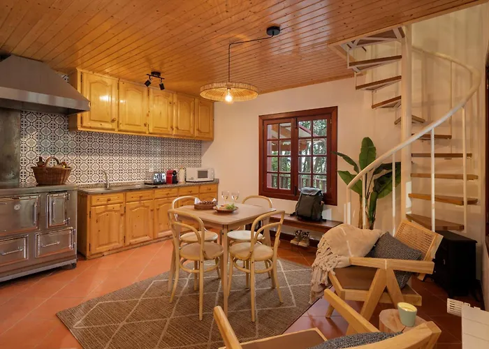 A Refuge In Nature - D'avo Teresa 木屋 São Vicente