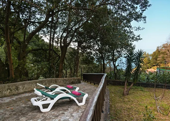 A Refuge In Nature - D'avo Teresa 木屋 São Vicente